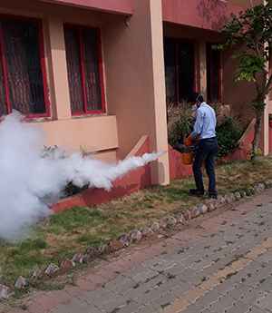 Pest Control Service