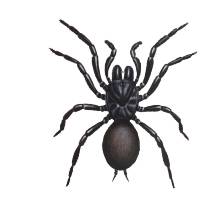 Termite Control Service