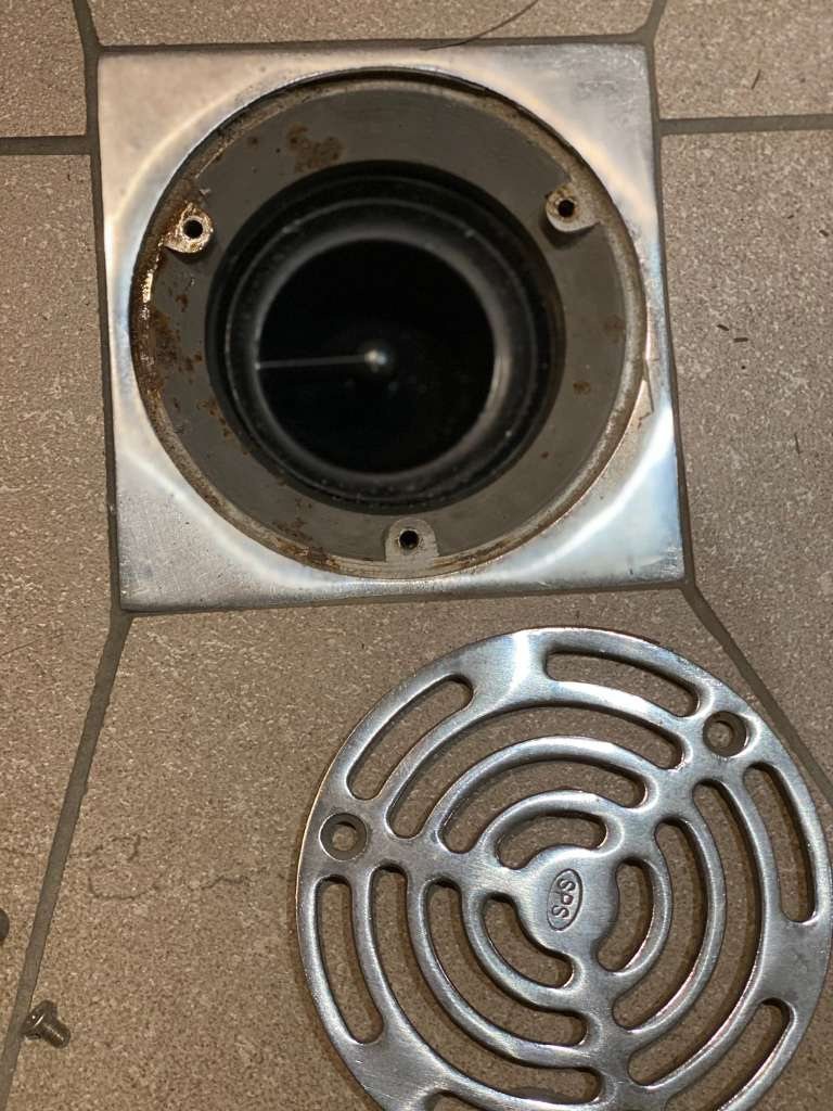 Green Drain in a stainless steel floor trap
