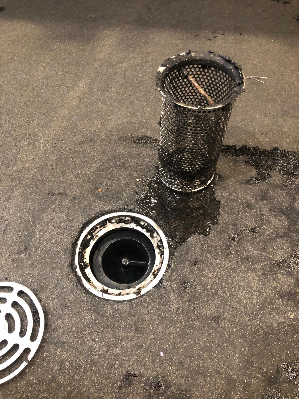 Green Drain in a commercial kitchen drain after removing the basket